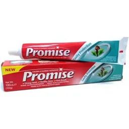 Promise Organic Clove Toothpaste