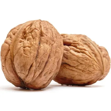 Walnut Whole With Shell